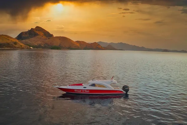 Sunset Speedboat